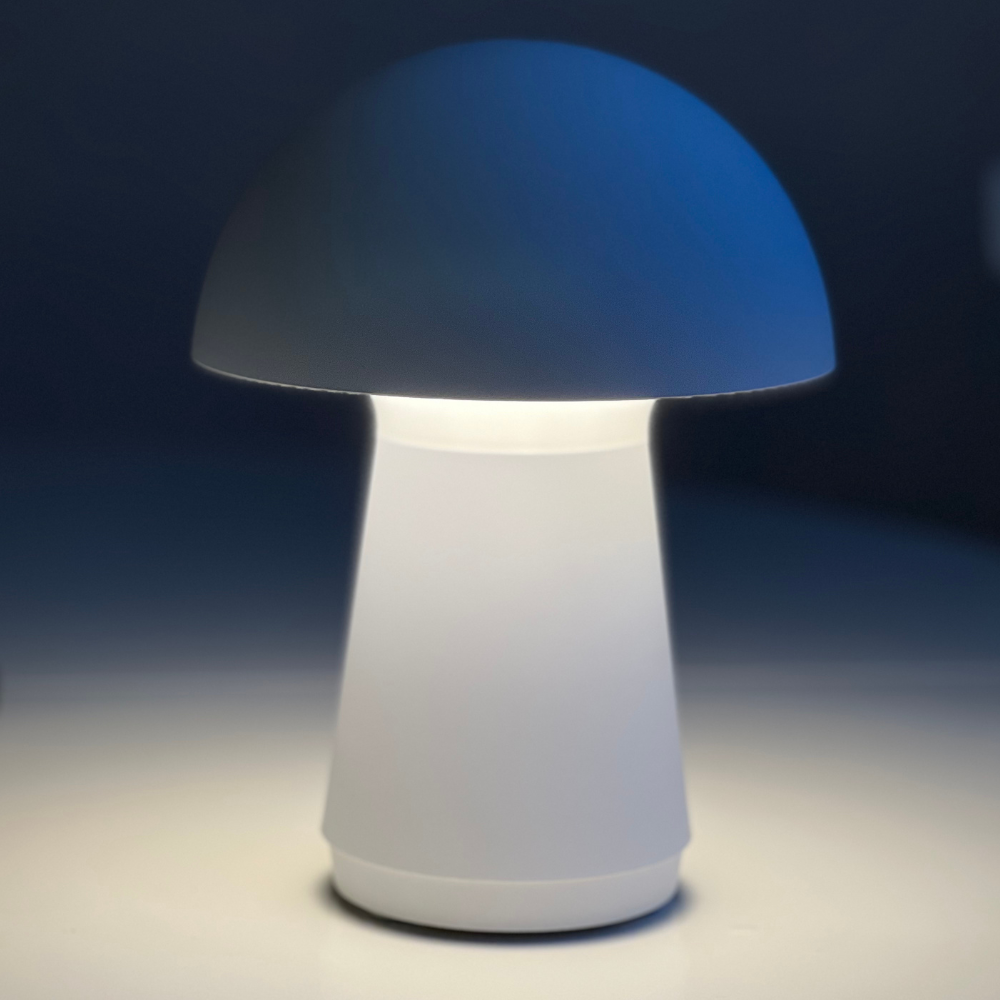 Trådlös lampa, trådlös bordslampa, utomhus lampa, lampa utomhus, liten lampa,