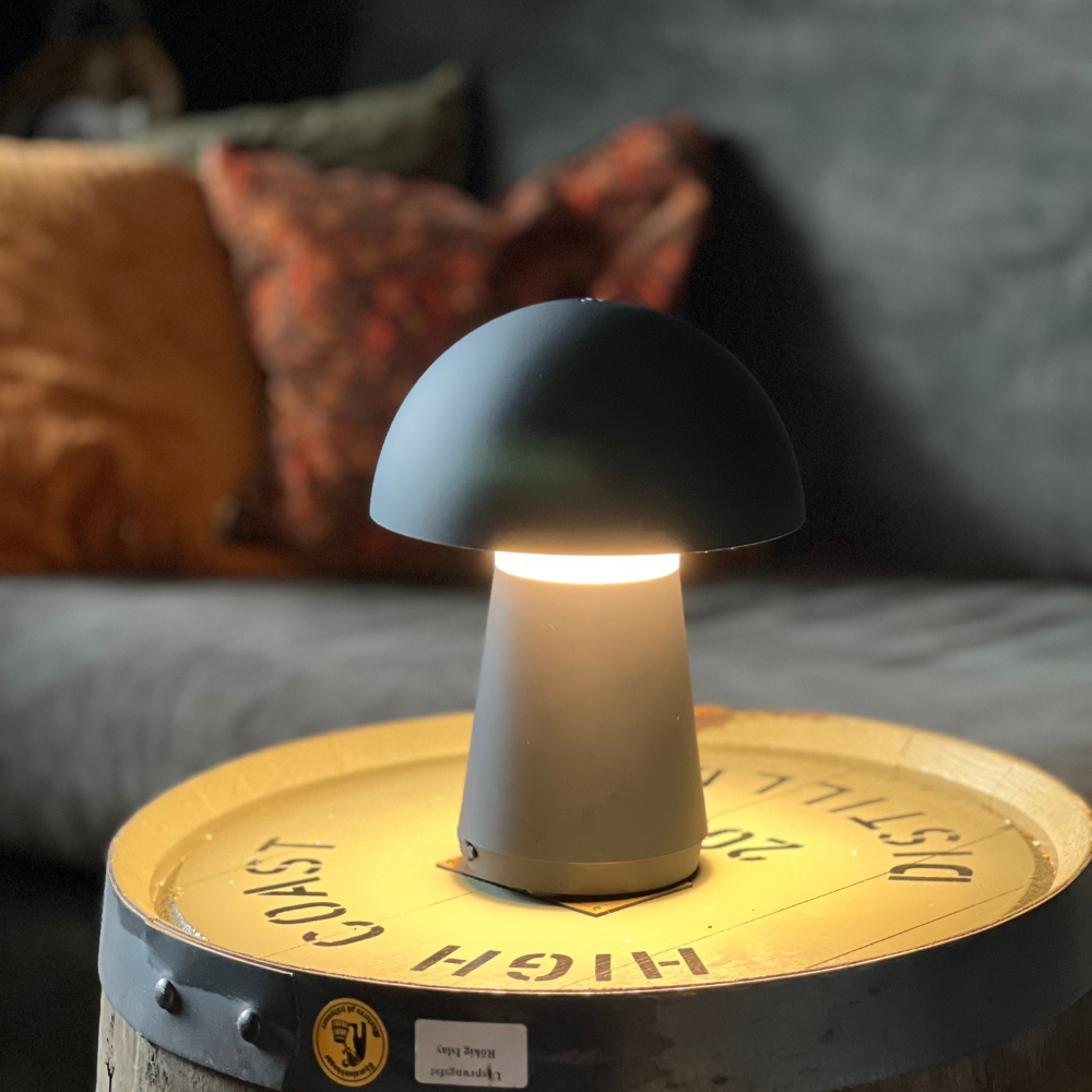 bordslampa, utomhuslampa, lampa, lampor, bordslampa,
